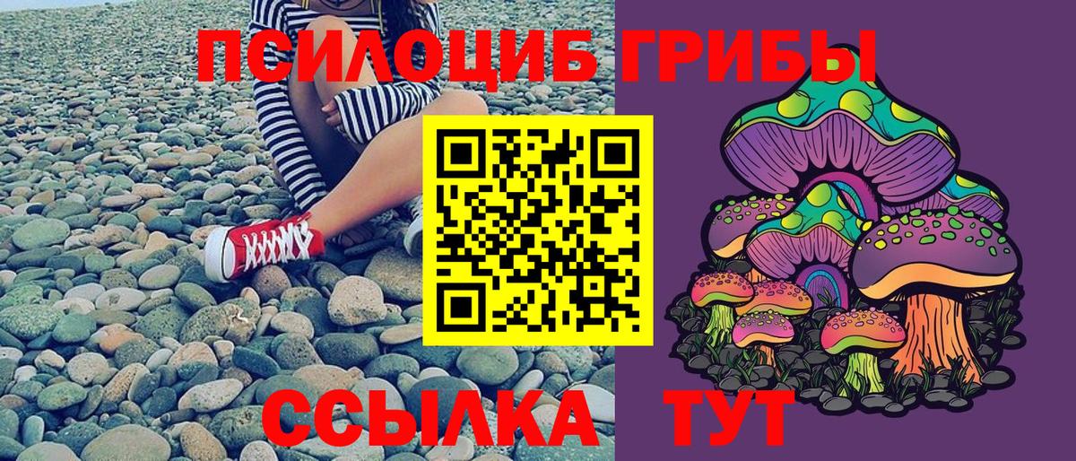 Ишим  где можно купить наркотик  Вход с VPN  Галлюциногенные грибы мицелий 